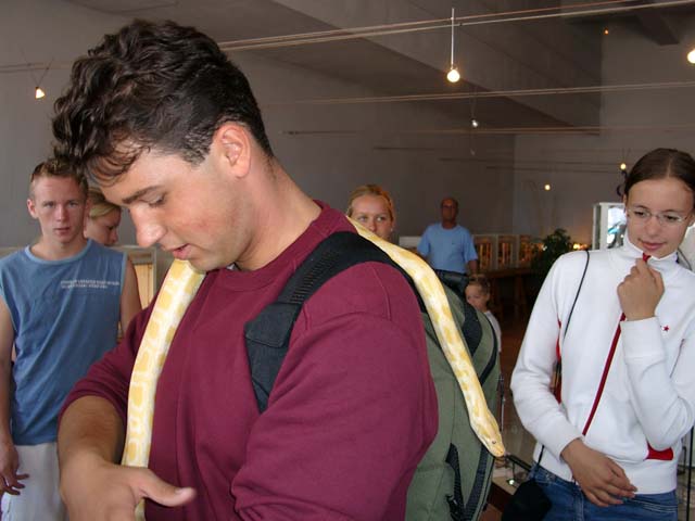 Borkum 03 - 36.jpg